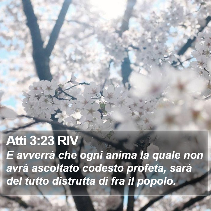 Atti 3:23 RIV Bible Study