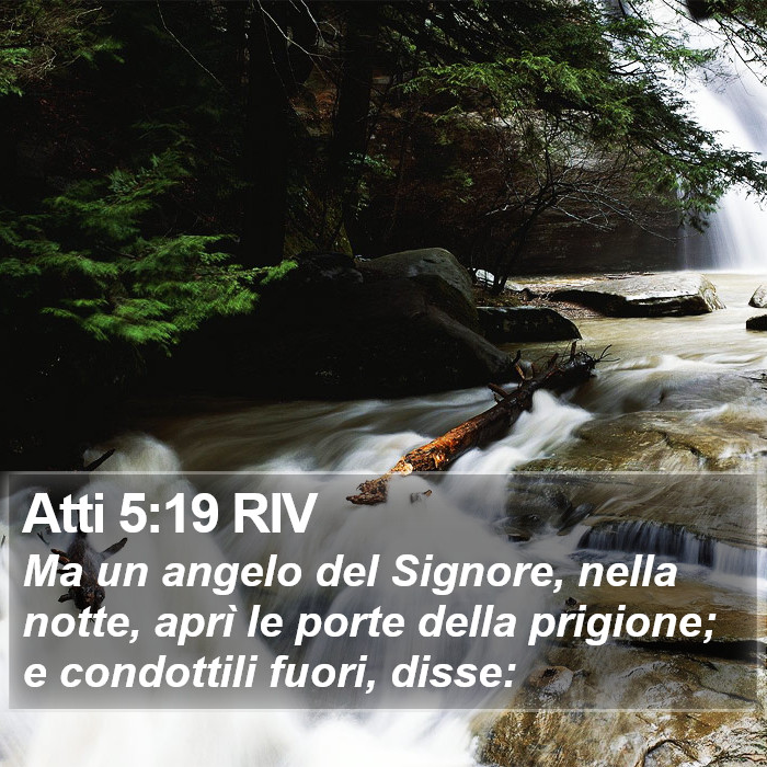 Atti 5:19 RIV Bible Study