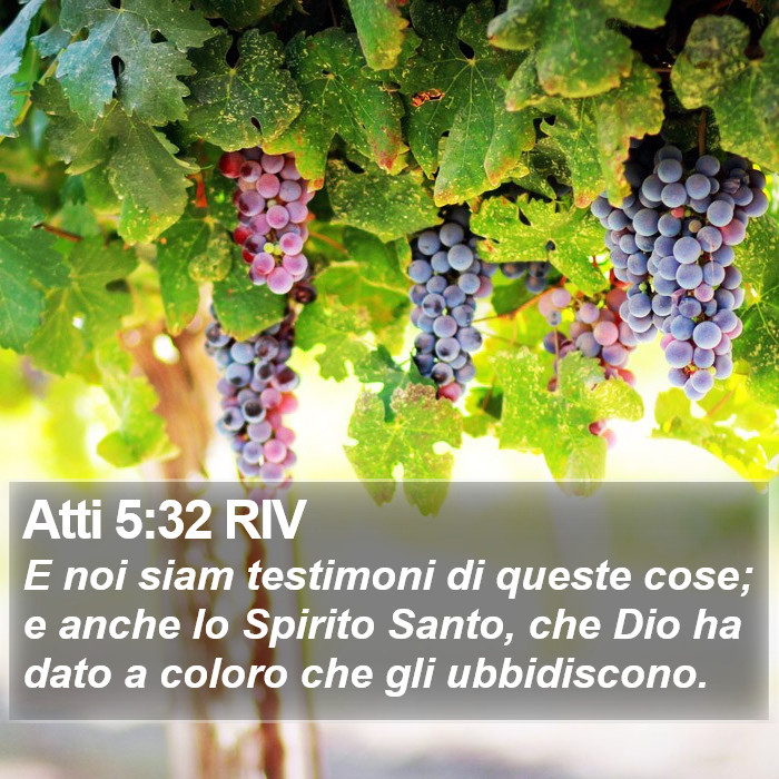 Atti 5:32 RIV Bible Study