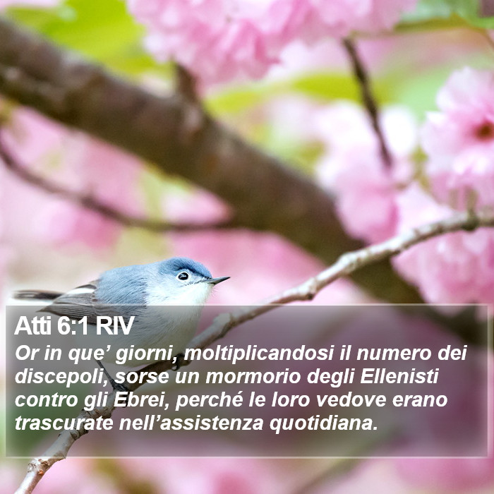 Atti 6:1 RIV Bible Study