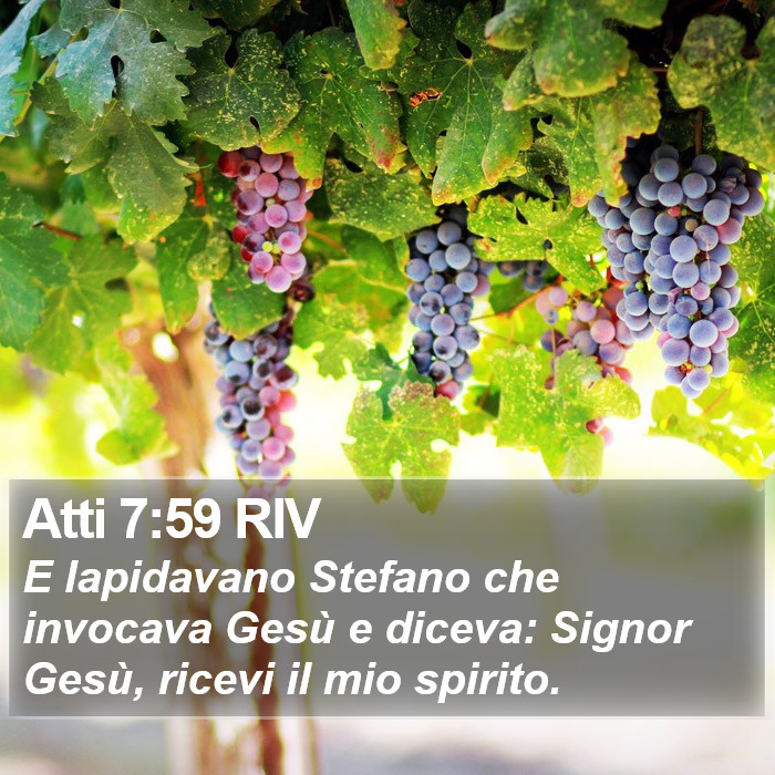 Atti 7:59 RIV Bible Study