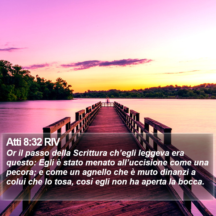 Atti 8:32 RIV Bible Study