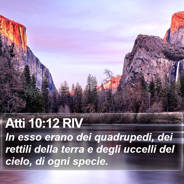 Atti 10:12 RIV Bible Study