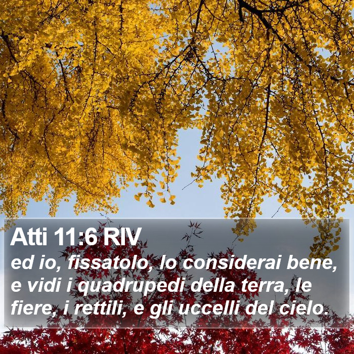 Atti 11:6 RIV Bible Study