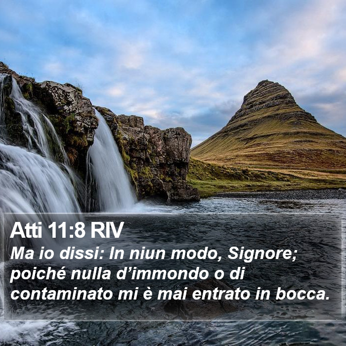 Atti 11:8 RIV Bible Study