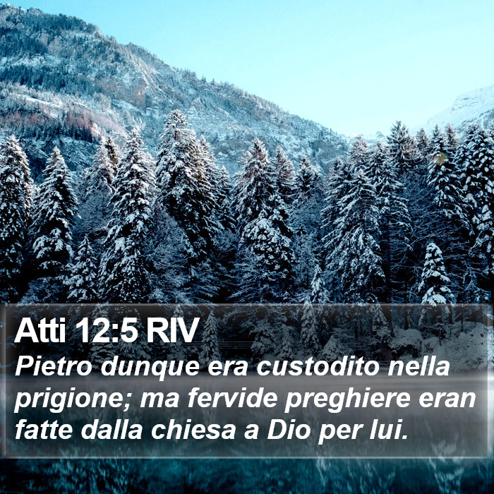 Atti 12:5 RIV Bible Study