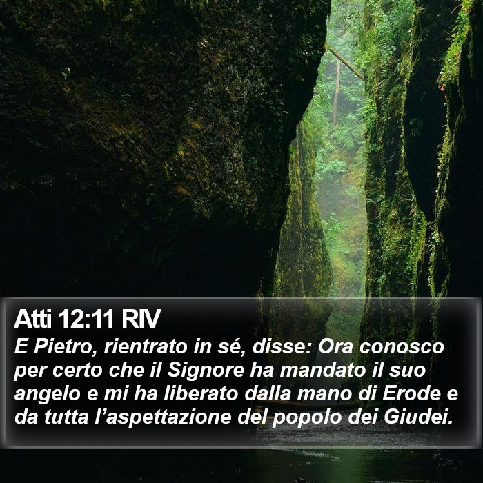 Atti 12:11 RIV Bible Study