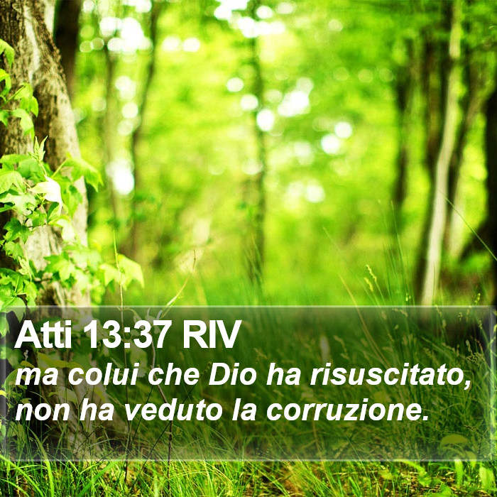 Atti 13:37 RIV Bible Study