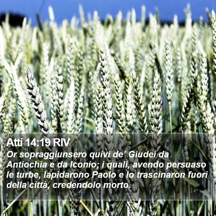 Atti 14:19 RIV Bible Study