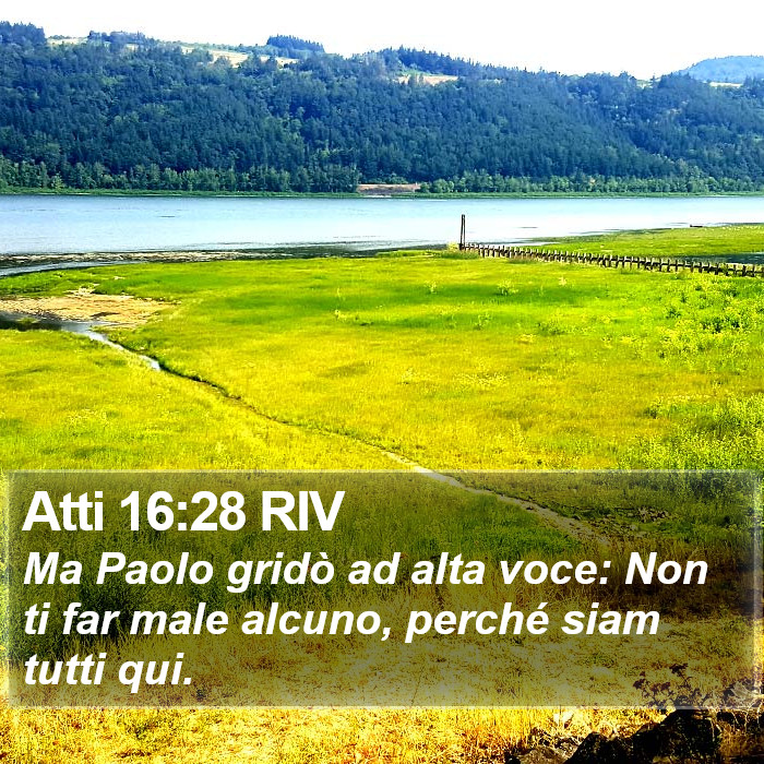 Atti 16:28 RIV Bible Study