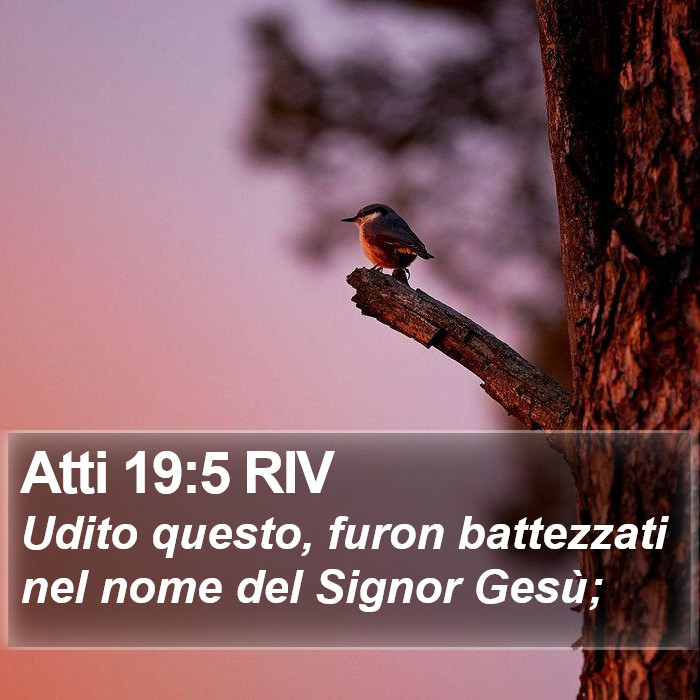 Atti 19:5 RIV Bible Study