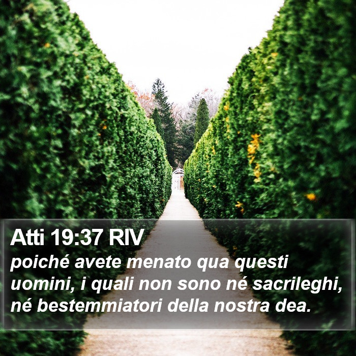 Atti 19:37 RIV Bible Study