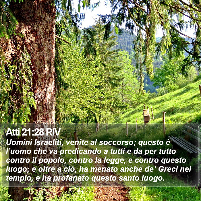 Atti 21:28 RIV Bible Study