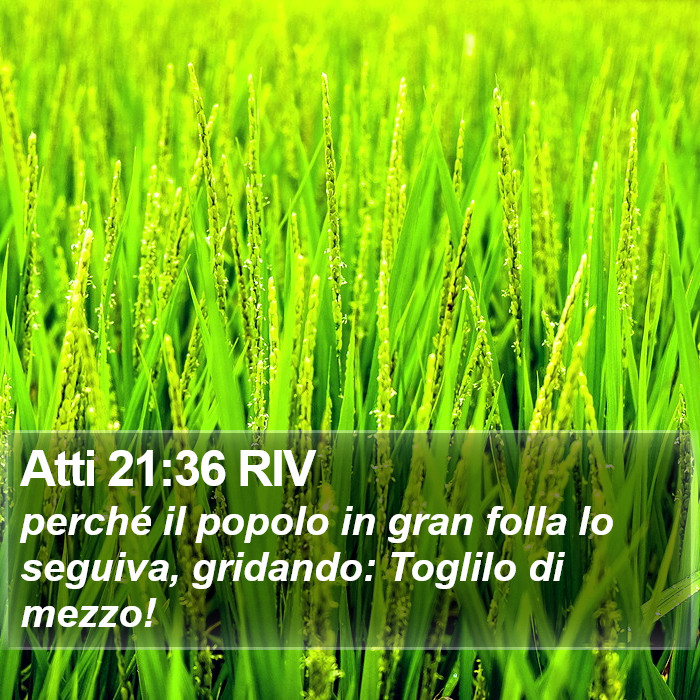 Atti 21:36 RIV Bible Study