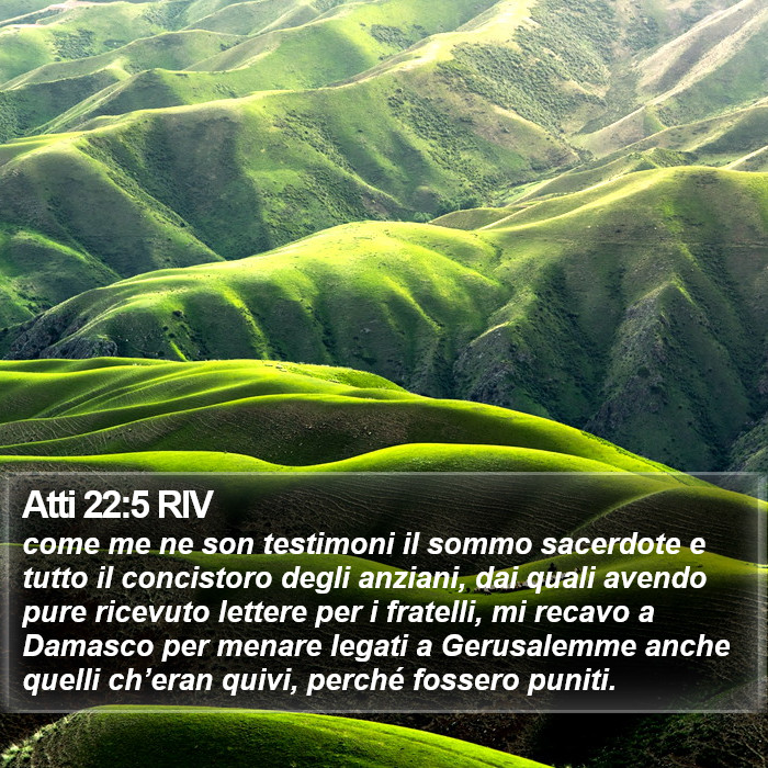 Atti 22:5 RIV Bible Study