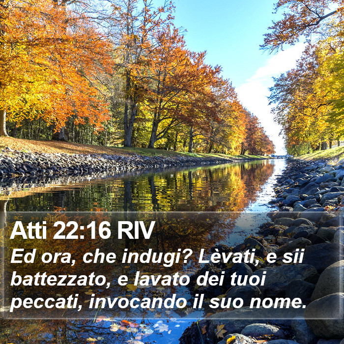 Atti 22:16 RIV Bible Study