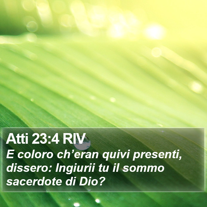 Atti 23:4 RIV Bible Study