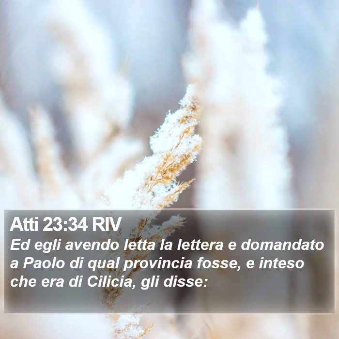 Atti 23:34 RIV Bible Study