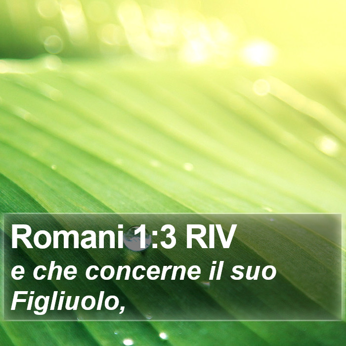 Romani 1:3 RIV Bible Study