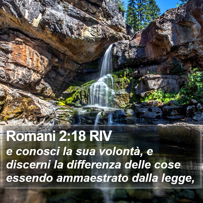 Romani 2:18 RIV Bible Study