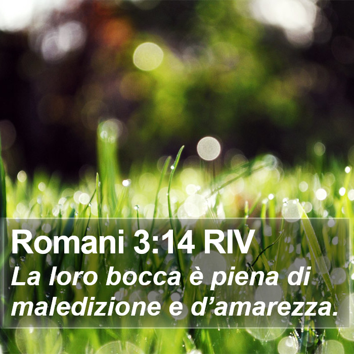 Romani 3:14 RIV Bible Study