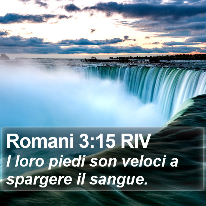 Romani 3:15 RIV Bible Study