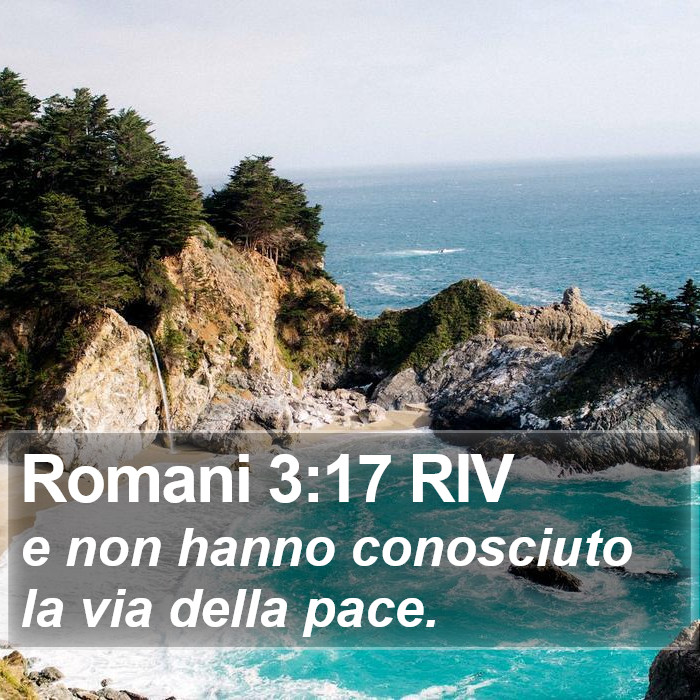 Romani 3:17 RIV Bible Study
