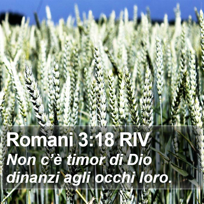 Romani 3:18 RIV Bible Study