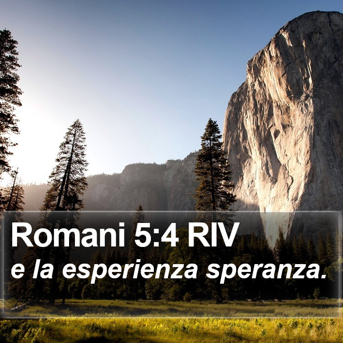 Romani 5:4 RIV Bible Study