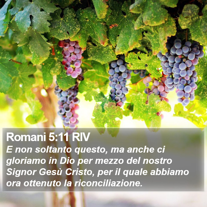 Romani 5:11 RIV Bible Study