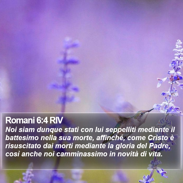 Romani 6:4 RIV Bible Study