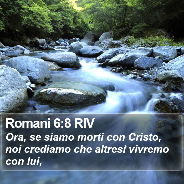 Romani 6:8 RIV Bible Study