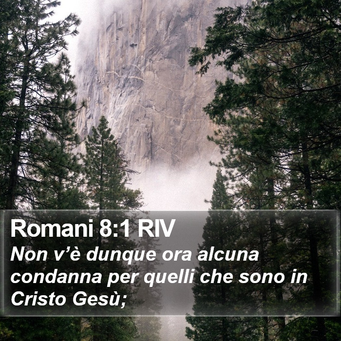 Romani 8:1 RIV Bible Study