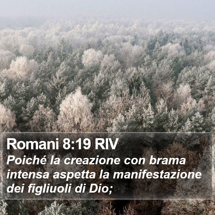 Romani 8:19 RIV Bible Study