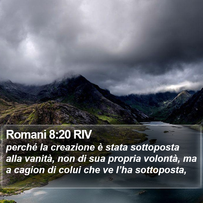 Romani 8:20 RIV Bible Study