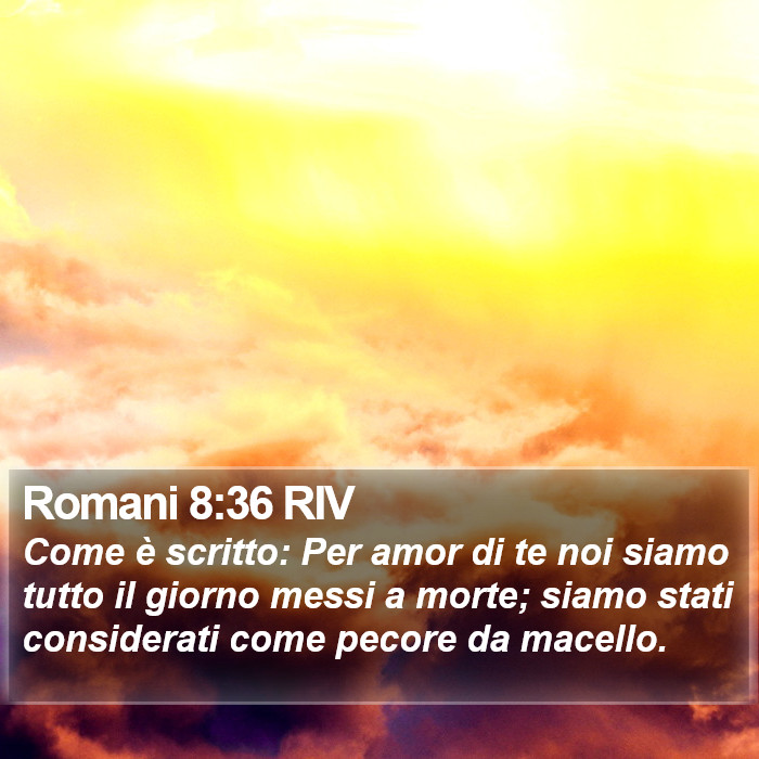 Romani 8:36 RIV Bible Study