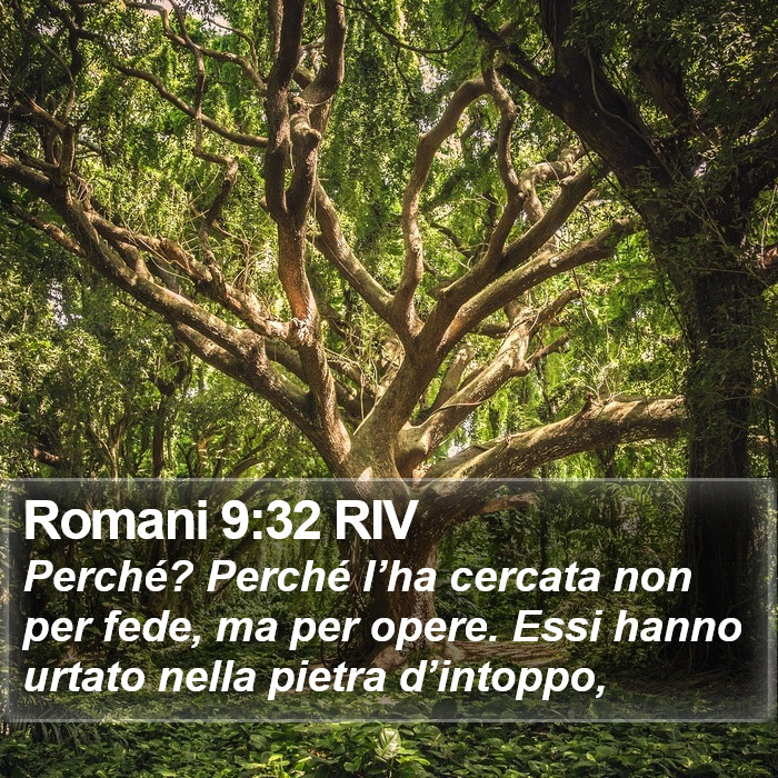 Romani 9:32 RIV Bible Study