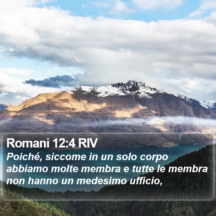 Romani 12:4 RIV Bible Study