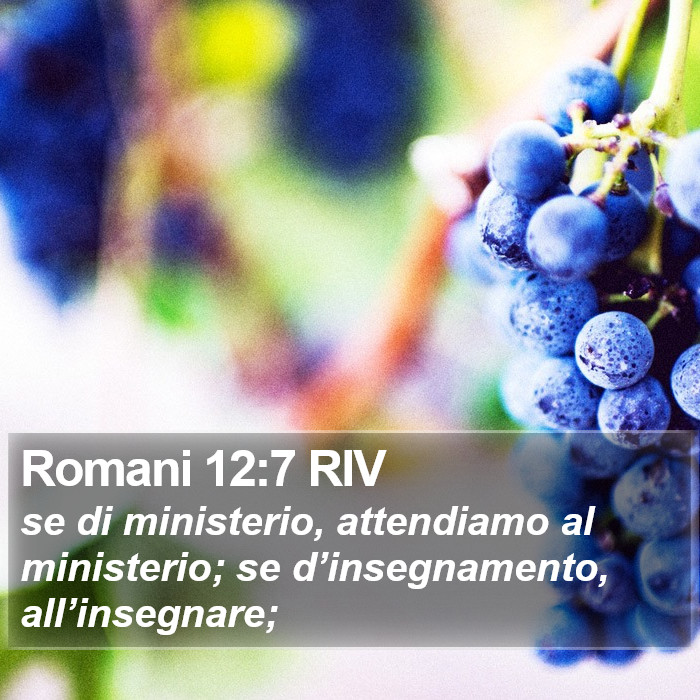 Romani 12:7 RIV Bible Study