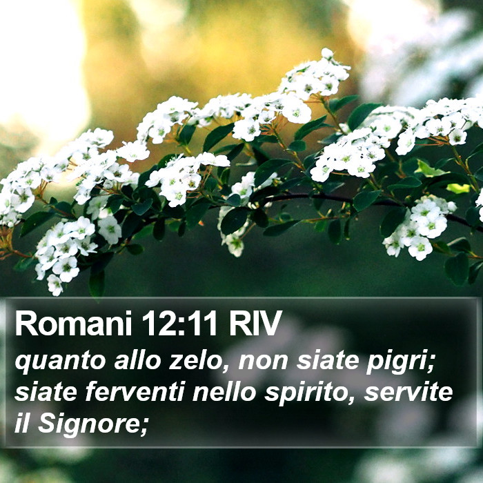Romani 12:11 RIV Bible Study