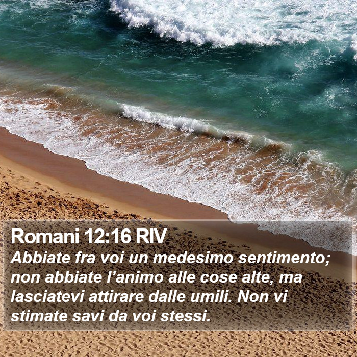 Romani 12:16 RIV Bible Study