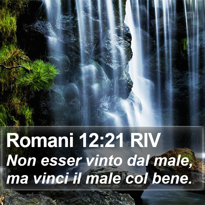 Romani 12:21 RIV Bible Study