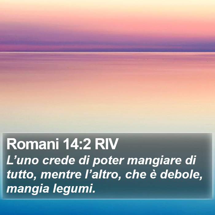 Romani 14:2 RIV Bible Study