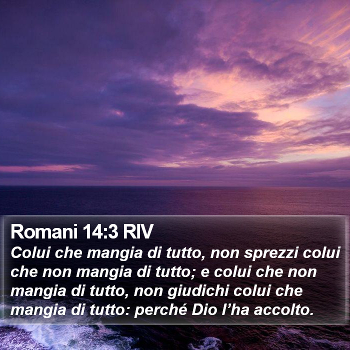 Romani 14:3 RIV Bible Study