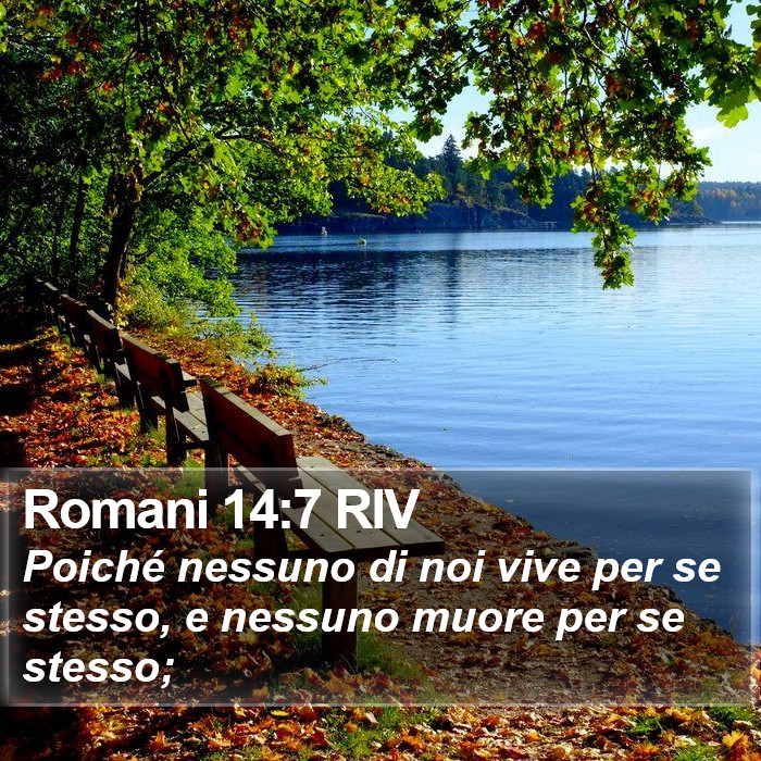 Romani 14:7 RIV Bible Study