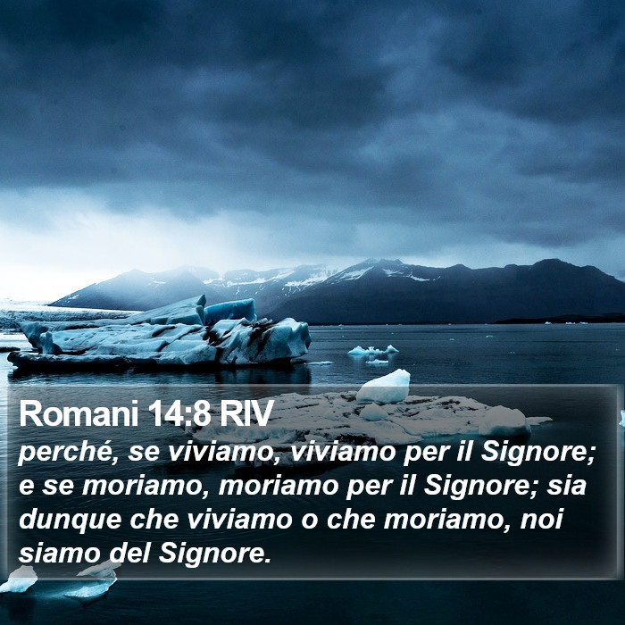 Romani 14:8 RIV Bible Study