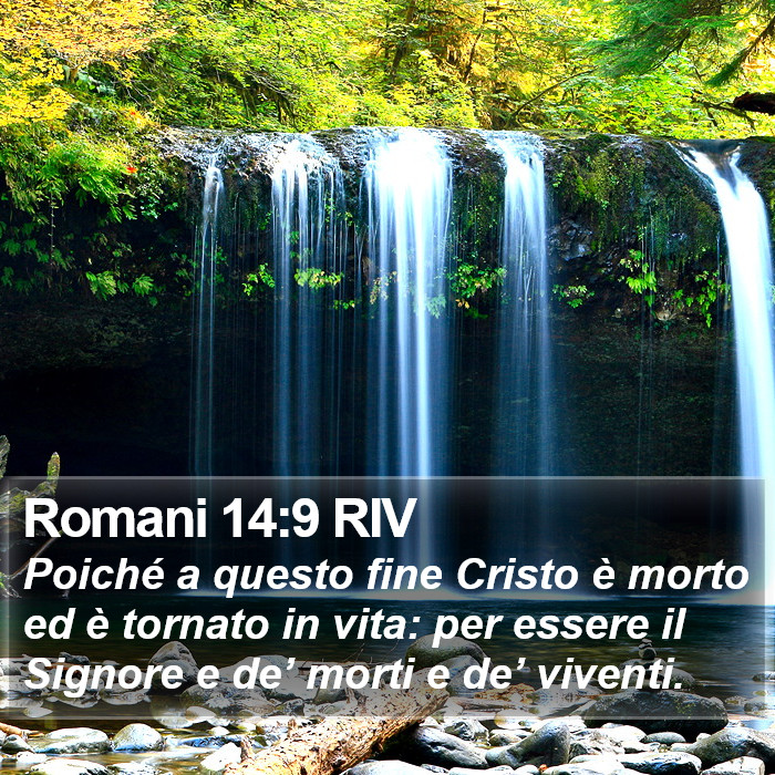 Romani 14:9 RIV Bible Study