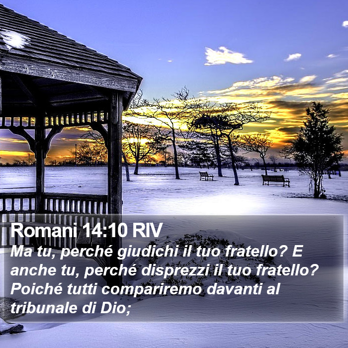 Romani 14:10 RIV Bible Study