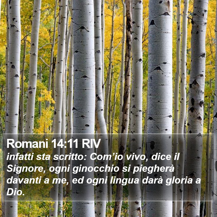 Romani 14:11 RIV Bible Study