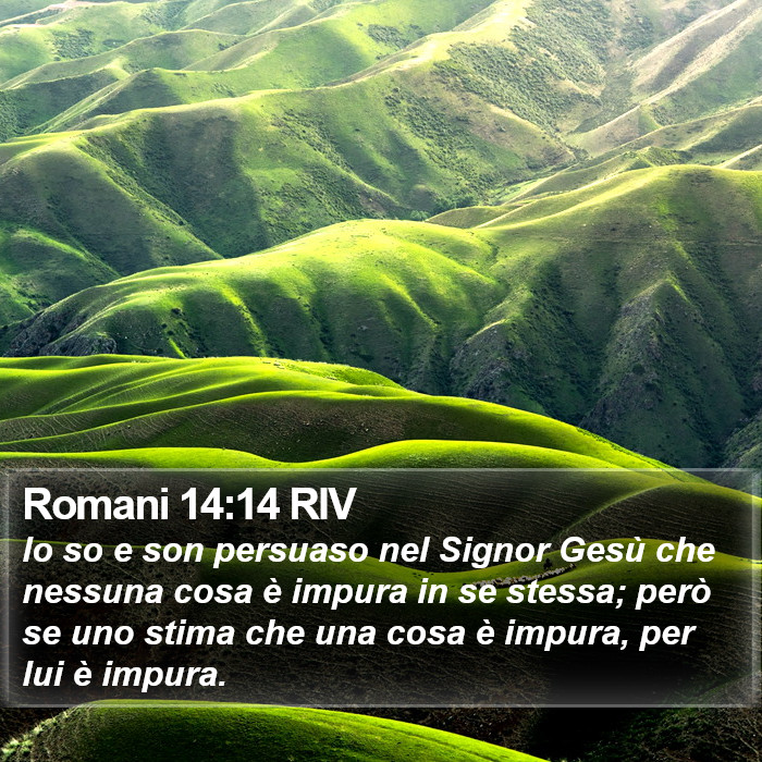 Romani 14:14 RIV Bible Study